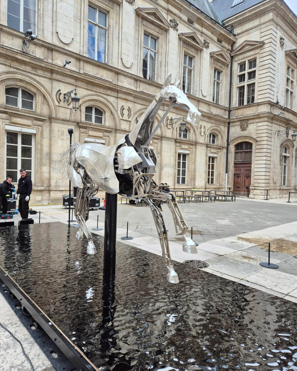 Tournée de Zeus, le cheval des JO, son arrivée à Lyon par Cargomatic