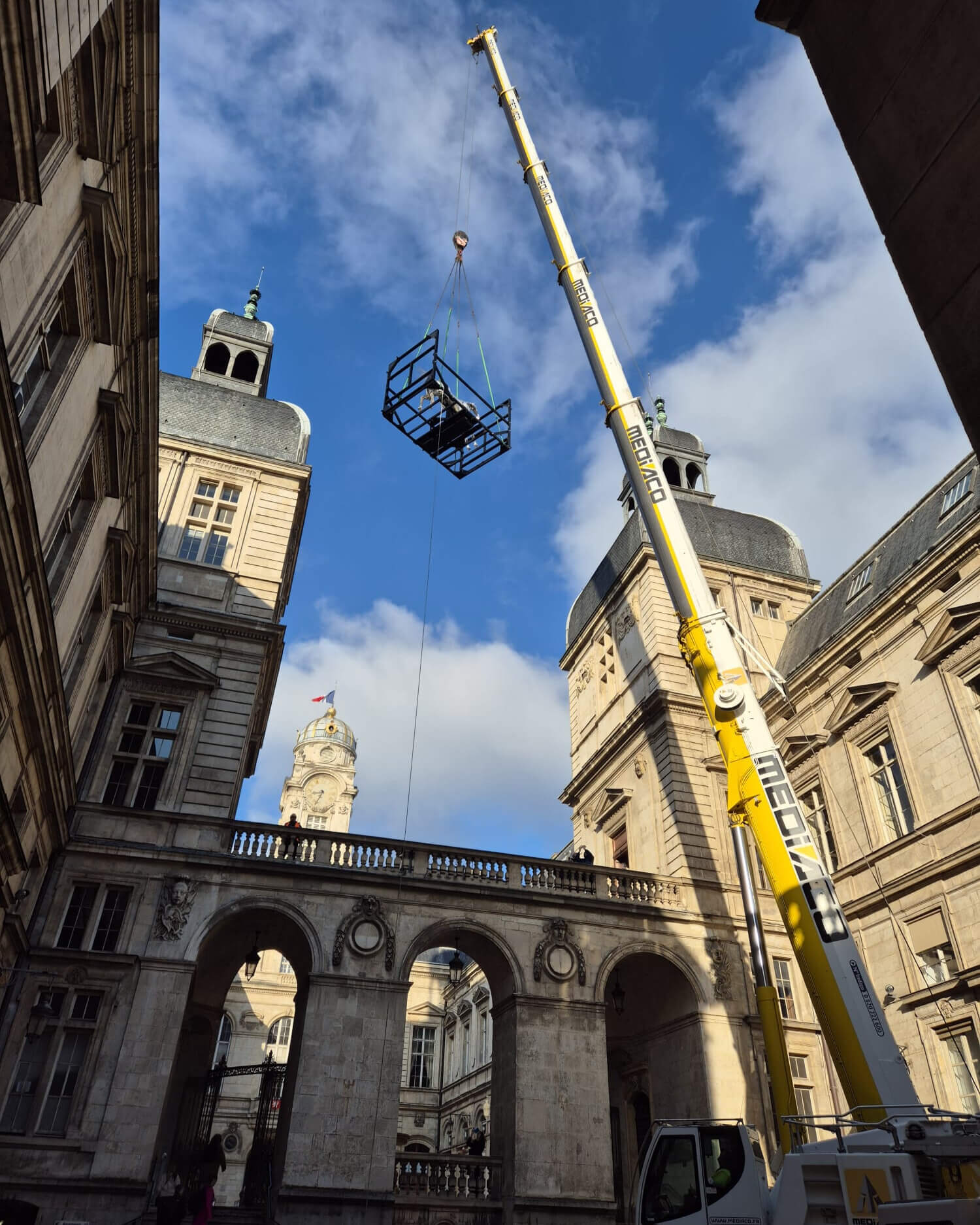Tournée de Zeus, le cheval des JO, son arrivée à Lyon par Cargomatic