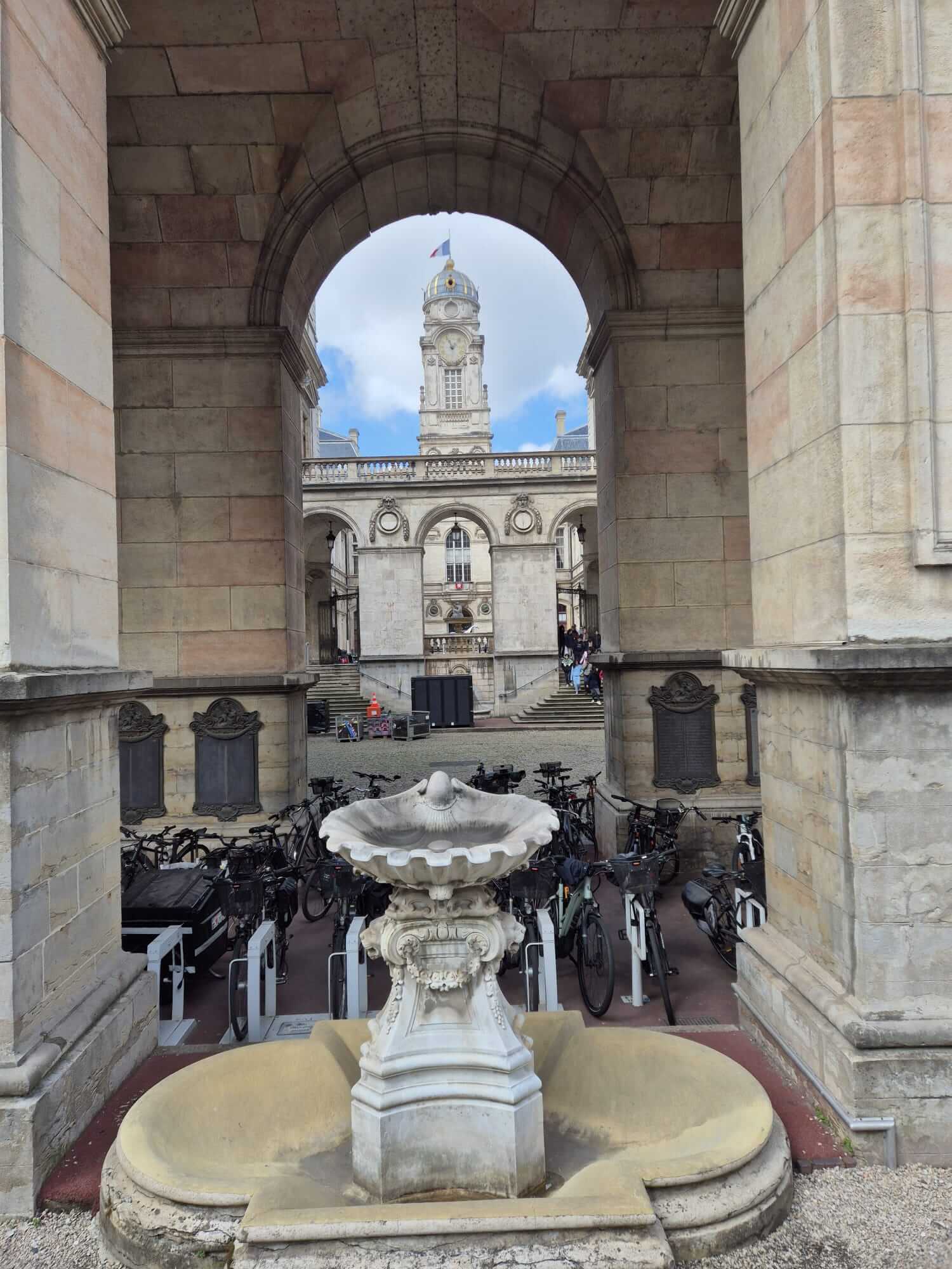 Tournée de Zeus, le cheval des JO, son arrivée à Lyon par Cargomatic