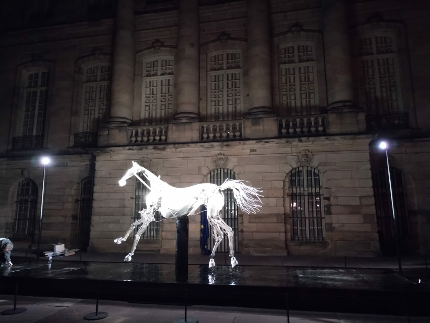 Livraison et dépose de Zeus à Strasbourg