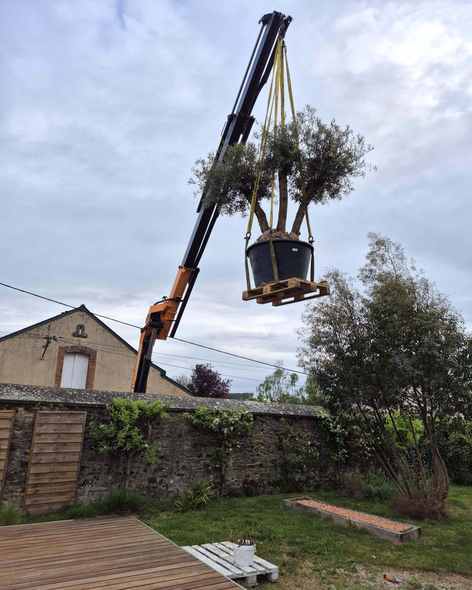 Cargomatic livraison direct jardin via grue d'un olivier